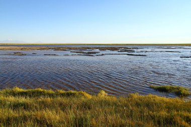 San Pedro de Atacama, Şili