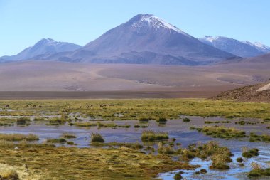 San Pedro de Atacama, Şili