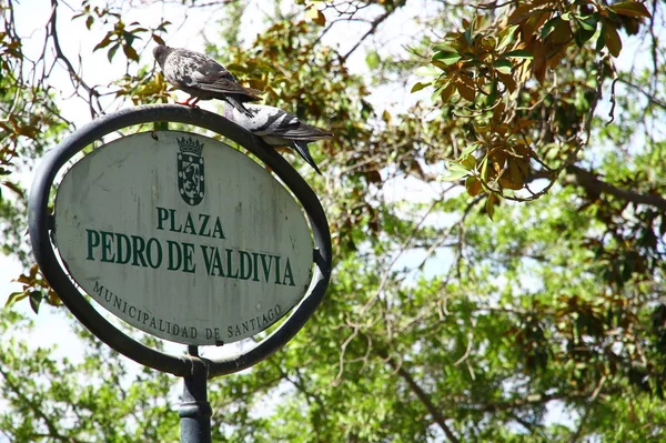 Signboard Plaza Pedro Valdivia Pedro Valdivia Square English Santa Lucia — Stock Photo, Image