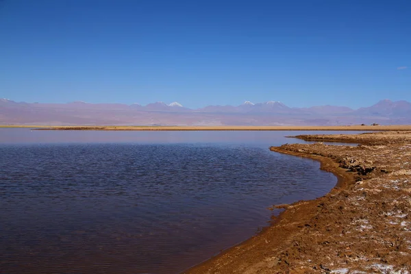 Panoramautsikt Från Ojos Del Salar Ögonen Saltvåningen San Pedro Atacama — Stockfoto