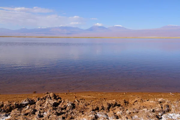 Panoramautsikt Från Ojos Del Salar Ögonen Saltvåningen San Pedro Atacama — Stockfoto