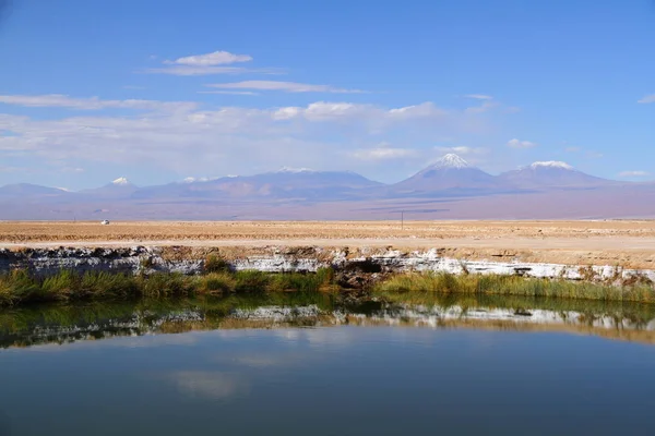 Panoramautsikt Från Ojos Del Salar Ögonen Saltvåningen San Pedro Atacama — Stockfoto