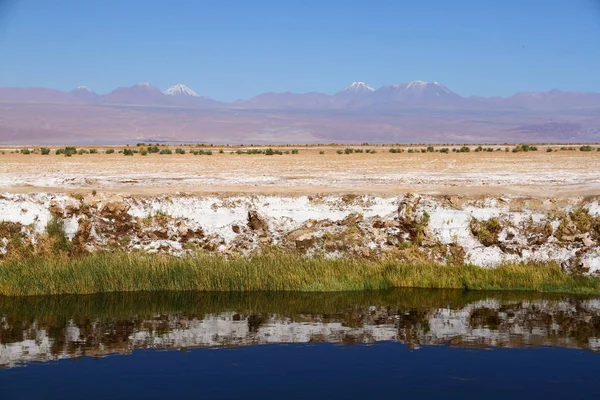 Panoramautsikt Från Ojos Del Salar Ögonen Saltvåningen San Pedro Atacama — Stockfoto
