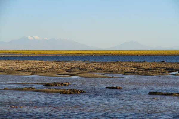 Панорамный Вид Острова Охос Дель Салар Сан Педро Атакама Чили — стоковое фото