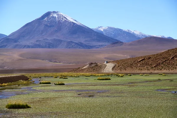 San Pedro Atacama Χιλή — Φωτογραφία Αρχείου