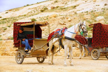 Antik Petra Şehri, Ürdün - 10 Nisan 2015: Petra manzarası. İnsanlar antik şehirde bir at arabasıyla tur atabilir ya da yürümekten zevk alabilirler.