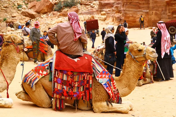 Αρχαία Πόλη Της Πέτρας Ιορδανία Απριλίου 2015 Υπάρχουν Καμήλες Για — Φωτογραφία Αρχείου