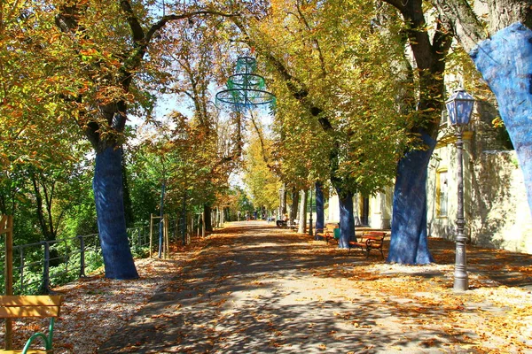 Beautiful View Park Trail — Stock Photo, Image