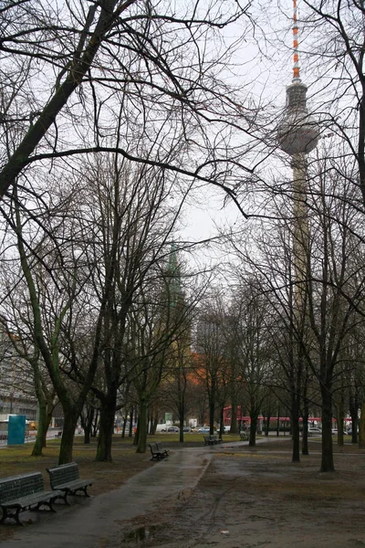 Uitzicht Een Prachtig Park Herfst — Stockfoto