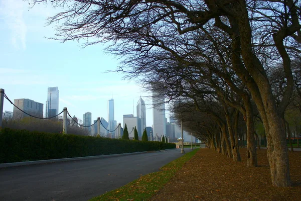 Skyscrapers Chicago Usa — стокове фото