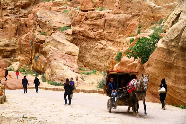 Antik Petra Şehri Ürdün Nisan 2015 Petra Kapısından Bir Manzara — Stok fotoğraf