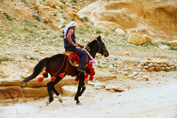 Antica Città Petra Giordania Aprile 2015 Uomo Che Libera Cavallo — Foto Stock