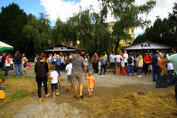 Zagreb Croatia Eylül 2016 Zagreb Deki Hamburger Festivalinden Bir Manzara — Stok fotoğraf