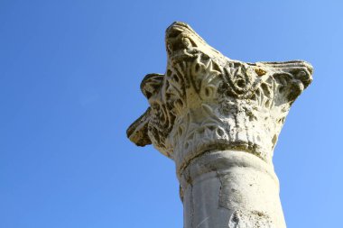 Kuzey Kıbrıs 'taki Salamis Harabelerinden bir manzara
