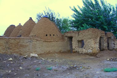 Harran Şanlıurfa 'daki geleneksel Harran evleri.
