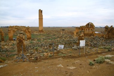 HARRAN, SANLIURFA, TURKEY - 21 Ekim 2018. Harran Şanlıurfa 'daki dünyanın en eski üniversitesinin harabelerinden bir manzara.