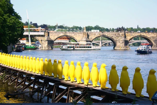 Vista Sobre Charles Bridge Praga Checa — Fotografia de Stock