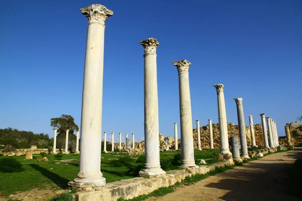 Kuzey Kıbrıs Taki Salamis Harabelerinden Bir Manzara — Stok fotoğraf