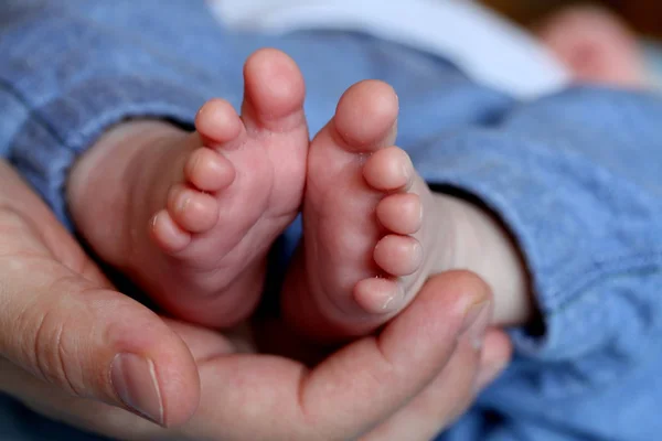 Pieds Nouveau Nés Dans Une Main — Photo