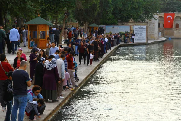 Goście Balikligol Sanliurfa Turcja Meczet Balikligol Jezioro Rybne — Zdjęcie stockowe