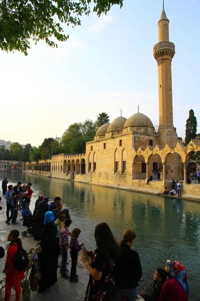 Visiteurs Balikligol Sanliurfa Turquie Mosquée Balikligol Lac Fish — Photo