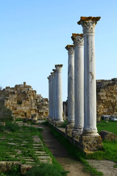 从北塞浦路斯萨拉米人的废墟看问题 — 图库照片
