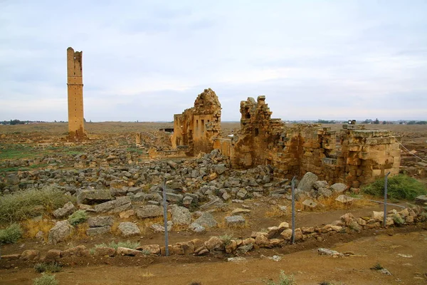 Harran Sanliurfa Turkey 2018 세계에서 의유적 에서바라본 터키의 우르파의 — 스톡 사진