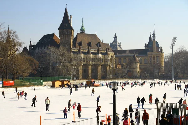 Budapest Ungern Februari 2015 Skridskobana Bredvid Slottet Vajdahunyad Budapests Stadspark Royaltyfria Stockbilder