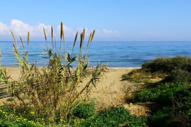 Mavi gökyüzü ile güzel deniz manzarası
