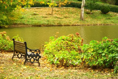 Göletin yanındaki bankın manzarası.