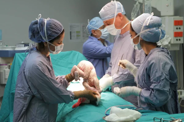 Operation View Cesarean Section — Zdjęcie stockowe