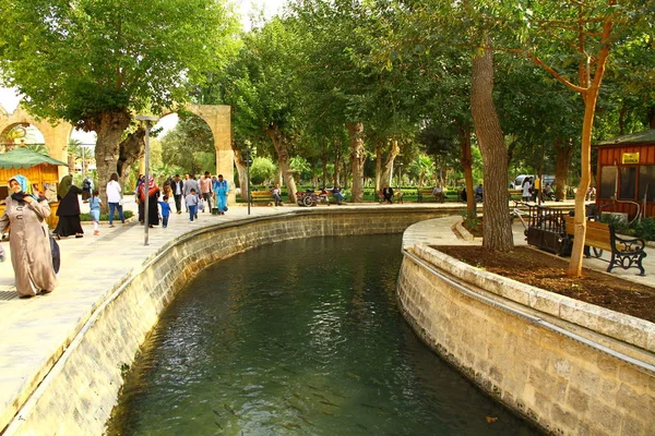 Balikligol Sanliurfa Turquía Mezquita Balikligol Lago Los Peces —  Fotos de Stock