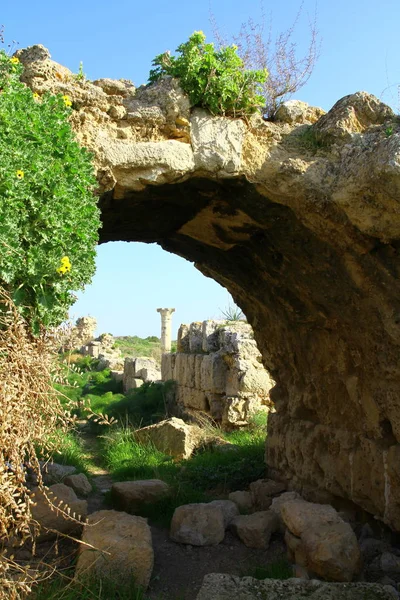 View Salamis Ruins Northern Cyprus — Stock Photo, Image