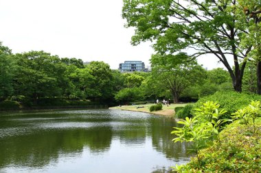Göllü güzel bir park manzarası