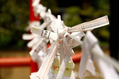 TOKYO, Japonya - 18 Mayıs 2013. Omikuji kağıt şeritleri söyleyerek servet kazanıyor. Japonlar fal baktırmayı sever, bu yüzden tapınaklara ve tapınaklara bağlanmış yüzlerce omikuji kağıdı görürsünüz..