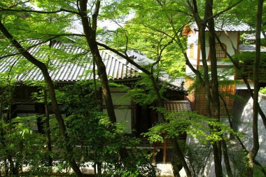 Japonya, Kyoto 'daki bir tapınaktan güzel bir manzara.