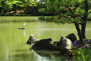Kinkaku-ji 'den Göl Manzarası (Altın Köşk) Tapınağı, Kyoto