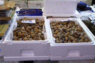 TSUKIJI FISH MARKET, TOKYO, Japonya - 20 Mayıs 2013. Tsukiji dünyanın en eski, en büyük ve en işlek balık pazarıdır. Ayrıca Tokyo 'nun bir numaralı turistik merkezlerinden biridir..