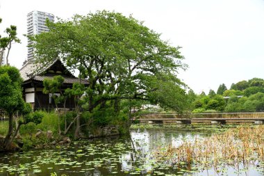 Tokyo, Japonya 'daki Hamarikyu Bahçeleri' nde geleneksel çay evi.