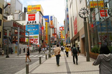 TOKYO, JAPON - 19 Mayıs 2013. Şehir, seyahat