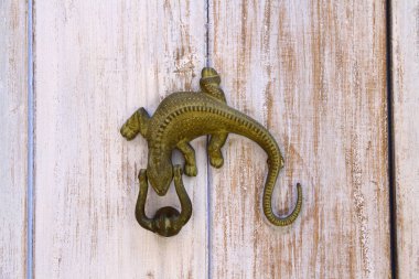 Cartagena 'daki ilginç kapı kollarından bir örnek. Kertenkele şehrin sembolü gibidir..