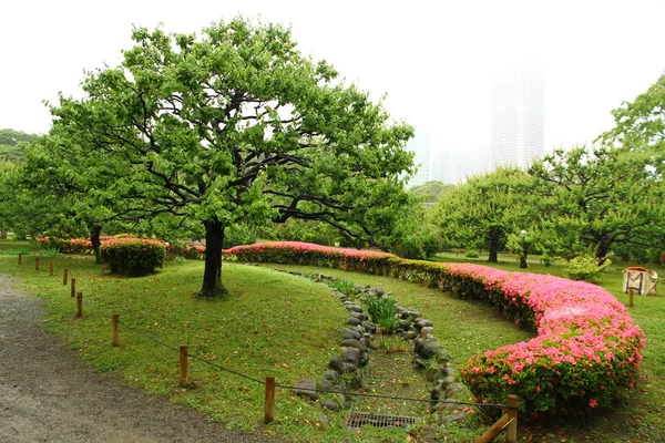 Una Vista Desde Los Hermosos Jardines Hamarikyu Tokio Japón —  Fotos de Stock