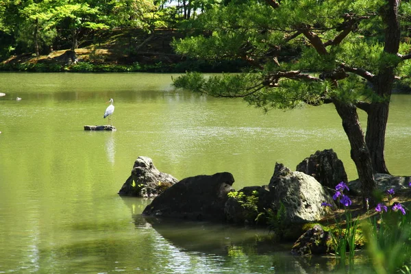 Widok Jezioro Kinkaku Złoty Pawilon Świątynia Kioto — Zdjęcie stockowe