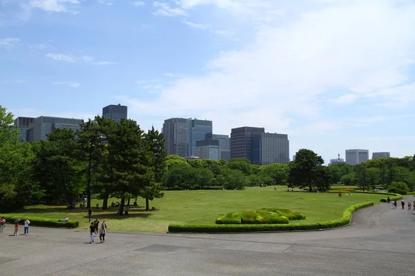 Vue Beau Parc Sur Fond Grattoirs — Photo