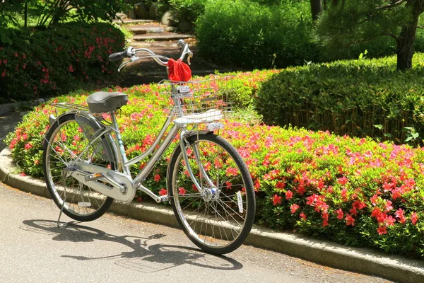 東京都公園内の自転車 ストック写真