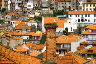 Porto şehri, Portekiz. Seyahat