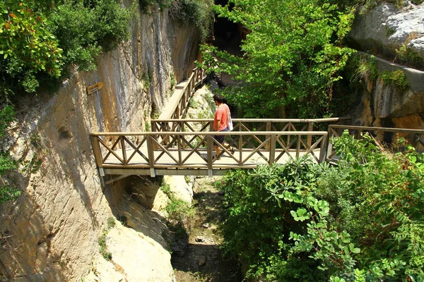穿过峡谷的小桥的景观 — 图库照片