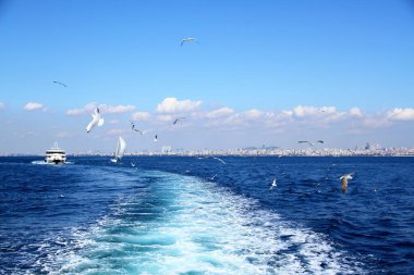 İstanbul Prens Adaları 'ndan güzel deniz manzarası.
