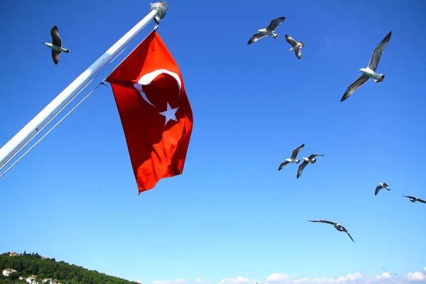 Belo Mar Ilhas Príncipe Istambul Bandeira — Fotografia de Stock