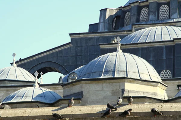 Pigeons Roof Mosque Eminonu Istanbul Turkey —  Fotos de Stock